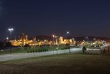 Bayer Crop Science Plant 